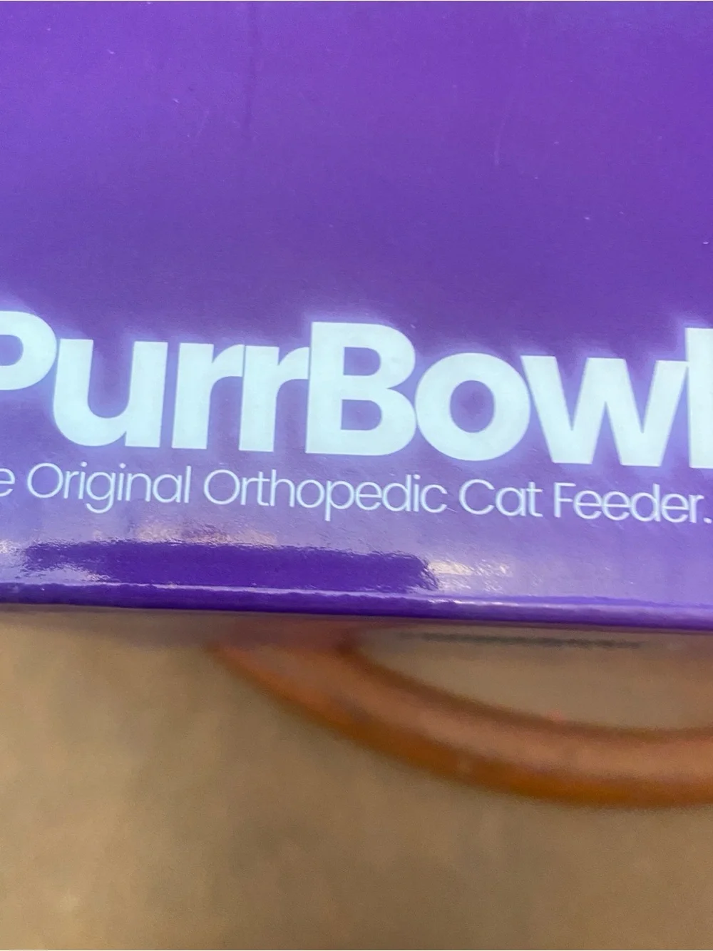 Clear Twin Cat Bowls on snap into slightly titled Raised Stand.